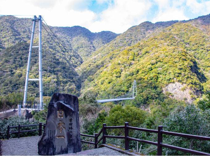 照葉樹林都市 綾